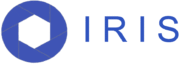 irisinsightsinc.com